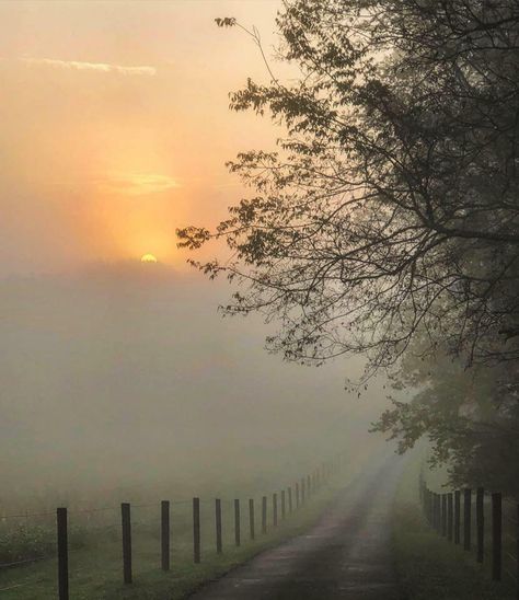 Beautiful S, Foggy Weather, Morning Photo, Ride The Lightning, Misty Morning, Autumn Morning, Foggy Morning, Traditional Chinese Medicine, Night Aesthetic