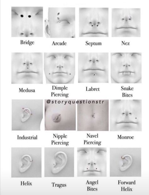 Piercings Face Chart, Types Of Nose Piercings Chart, Piercings For Oval Face, Face Peircings Name Chart, Unique Facial Piercings, Cute Facial Piercings Nose, Cool Face Piercings, All Face Piercings, Pretty Piercings Face