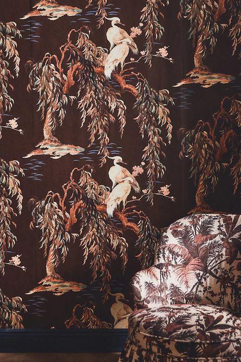 House of Hackney Zeus Wallpaper | Anthropologie Zeus Wallpaper, Burgundy Wallpaper, House Of Hackney Wallpaper, Wallpaper Unique, Magnolia Wallpaper, Zebra Wallpaper, Peacock Wallpaper, Poppy Wallpaper, Rabbit Wallpaper