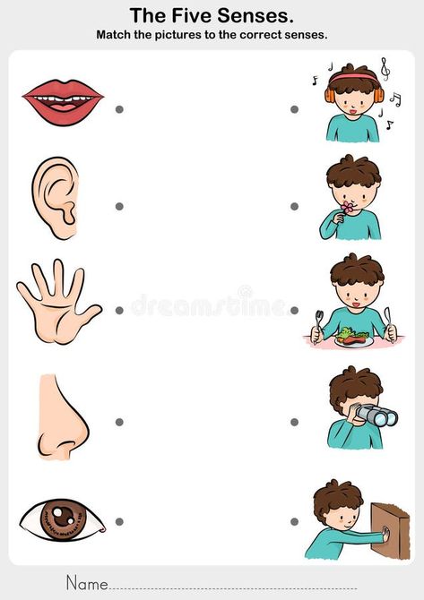 Body Parts Preschool Activities, Five Senses Worksheet, Five Senses Preschool, Sense Organs, 5 Senses Activities, Disiplin Anak, Senses Preschool, Math Pictures, Body Parts Preschool