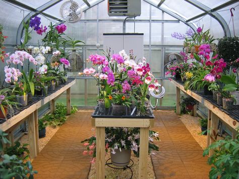 Having a orchid greenhouse is one of my dreams. :) Greenhouse Design, Conservatory Greenhouse, Orchid House, Aluminium Greenhouse, Best Greenhouse, Orchid Greenhouse, Green House Design, Greenhouse Interiors, Wooden Greenhouses