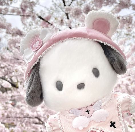 ꒰🐾꒱ Sanrio Pfp, Epic Characters, Fairy Wallpaper, Hello Kitty Images, Kawaii Plush, Photo Scrapbook, Big Bird, Cute Stuffed Animals, All Things Cute