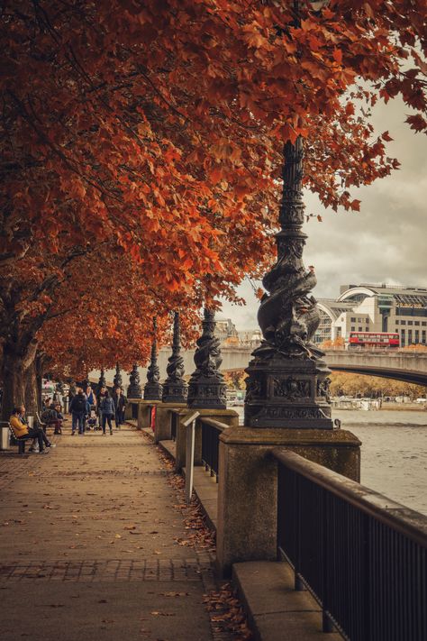 #London #autumn #autumnvibes  #autumnleaves #londontravel  #londontown  #londonhistory #england London In October Aesthetic, London In Autumn Aesthetic, Autumn In London Aesthetic, Autumn London Aesthetic, Chelsea Core Aesthetic, London Fall Aesthetic, London Autumn Aesthetic, London Streets Aesthetic, London In The Fall