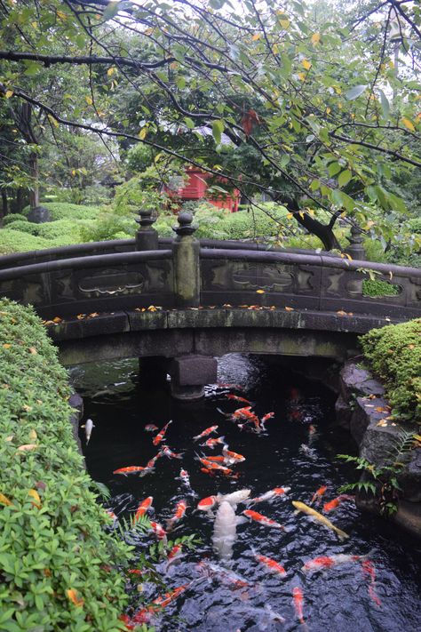 Buddhist Temple Aesthetic, Buddhist Aesthetic, Temple Buddhist, Japan Travel Photography, Travel Mood, Water Temple, Japan Temple, Sensoji Temple, Buddhist Temples