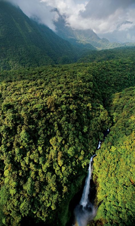 Guinea Africa, Breathtaking Scenery, Central Africa, Belle Nature, National Geographic Magazine, Liberia, Green Forest, African Countries, Africa Travel