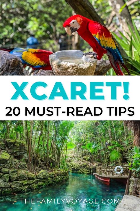 Cancun On A Budget Mexico, Cancun Activities Things To Do, The Fives Playa Del Carmen, Playa Del Carmen With Kids, Cancun Must Do, Xcaret Outfits Ideas, Things To Do In Playa Del Carmen, Things To Do In Cancun Mexico, Occidental Xcaret Mexico