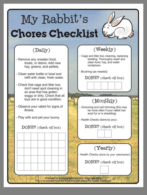 Rabbit Supplies List, 4 H Rabbits, Rabbit Feeding Schedule, New Bunny Checklist, Rabbit Essentials List, Pet Bunny Care, Bunny Essentials List, Rabbit Essentials, Baby Rabbits Cute