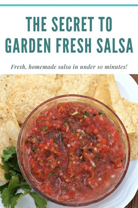 Homemade Fresh Salsa With Fresh Tomatoes, Homemade Garden Salsa Recipes, Salsa Recipe With Fresh Tomatoes No Cilantro, Salsa With Poblano Peppers, Fresh Homemade Salsa, Pioneer Woman Salsa Recipe, Recipes With Garden Tomatoes, Garden Tomato Salsa, Easy Fresh Tomato Salsa