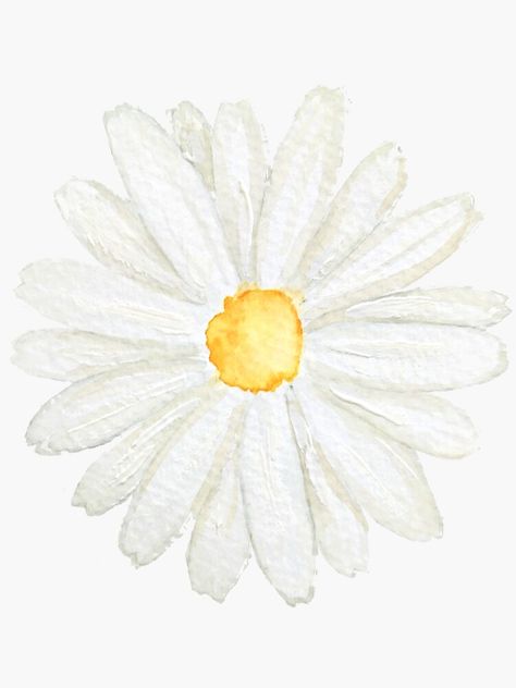 Daisy Flower Watercolor, White Daisy Drawing, Tablet Notes, Easy Chalk Drawings, Daisy Flower Drawing, Birthday Artwork, Daisy Watercolor, Watercolor Daisy, Cosmos Flowers