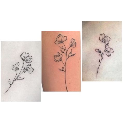 Sweet Pea Tattoo Color, Pea Tattoo, Sweet Pea Tattoo, Tattoos 2023, Tattoo 2024, Chrysanthemum Tattoo, Sweet Pea Flowers, Memorial Tattoos, Sweet Peas