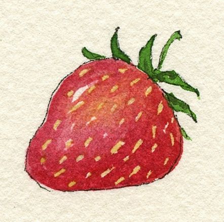 Strawberry Drawing, Strawberry Watercolor, Strawberry Art, Jello Salad, The Fifties, Cat Air, 로고 디자인, Art Classes, Wall Collage