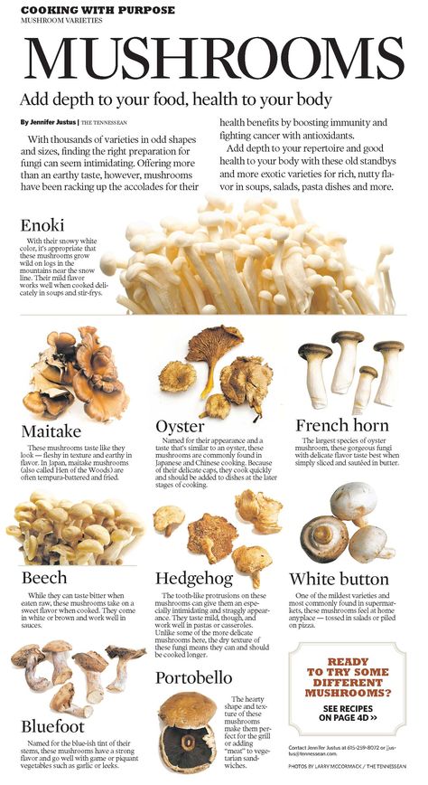 How Many Mushrooms Have You Tried? Mushroom Varieties, Mushroom Growing, Edible Mushrooms, Healthy Advice, Food Info, Cooking Basics, Deilig Mat, Food Facts, Mushroom Recipes