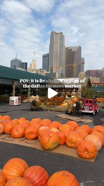 Dallas Hidden Gems on Instagram: "📍 @dallasfarmersmarket (Dallas, TX)

For all my autumn lovers out there, pumpkin season has finally arrived at the Dallas Farmers Market! As a fellow lover of all things Halloween, I look forward to this experiencing this every year! 

Let the fall vibes commence! 🍁🎃✨
•
•
•
•
•
•
#dallashiddengems #Dallasfoodie #dallastxdallas #tx #texas #texaseats #texasfoodblogger #texasfoodie #explorerexas #texasforever #dallaseats #dallasdatenight #dallasdrinks #happyhour #dallasites #dfweats #dfwdrinks #dfwfoodie #txblogger #frisco #plano #grapevine #thingstodointexas tx #texas #texaseats #texasfoodblogger #texasfoodie #explorerexas #texasforever #dallaseats #dallasdatenight #dallasdrinks #happyhour #dallasites #dfweats #dfwdrinks #dfwfoodie #txblogger #frisco #pla Dallas Farmers Market, Texas Forever, Pumpkin Season, Pumpkin Seasoning, Dallas Tx, Hidden Gems, Fall Vibes, Farmers Market, Grape Vines