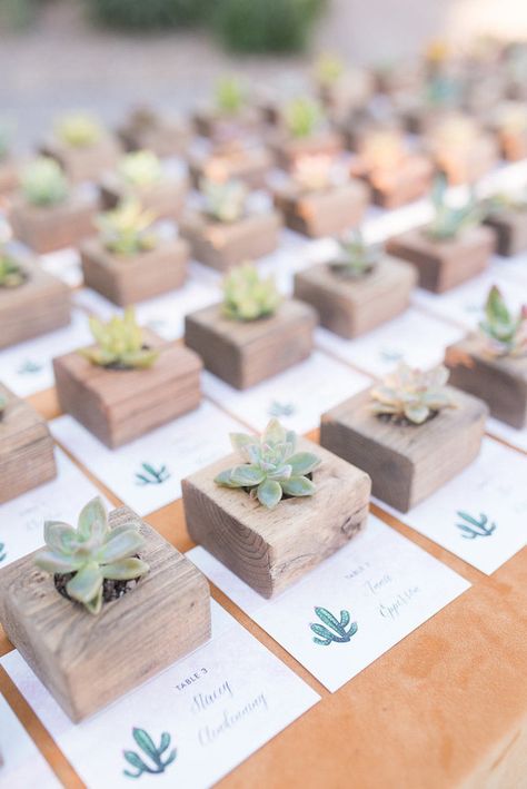 Succulent favors Kaktus Dan Sukulen, Succulent Wedding Favors, Wedding Favors And Gifts, Succulent Favors, Cheap Favors, Wedding Mementos, Wedding Shower Gifts, Wedding Favors Cheap, Succulent Wedding