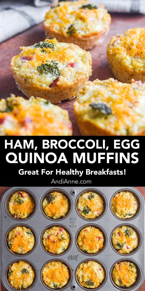 Egg Quinoa Breakfast, Quinoa Recipes For Picky Eaters, Broccoli Ham Egg Muffins, Ham And Quinoa Recipes, Quinoa Muffins Breakfast, Quinoa Breakfast Bites, Quinoa Egg Muffins, Quinoa Egg Bites, Quinoa Bites Recipes