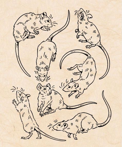 Rat Line Tattoo, Ink Drawing Animals, River Rat Tattoo, Rat In A Cage Tattoo, Rat Flash Tattoo, Rat Stick And Poke, How To Draw Rat, How To Draw A Rat, Two Headed Rat Tattoo