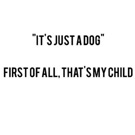 Yep.. I’m tired of hearing “ it’s just a dog”.. My dogs are my family. They are better than most humans. Crazy Dog Lady, Pit Bulls, Excuse Me, Crazy Dog, Dotted Fabric, Dog Quotes, Training Tips, My Dog, I Love Dogs