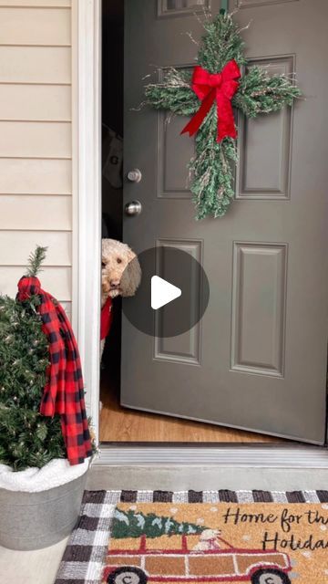 Denise Fowler | DIY + Thrifting on Instagram: "DIY Dollar Tree Christmas Cross Wreath 🌲 All supplies came from Dollar Tree and it only took about 20 minutes to make! Let me know if you have any questions about this DIY ❤️ #christmasdecor #christmaswreath #christmasdiy #diychristmas #dollartreediy @dollartree.goodies5 diy dollar tree christmas wreath decor" Dollar Tree Christmas Door Hanger, Christmas Cross Wreath, Dollar Tree Christmas Wreath, Cross Wreath Diy, Diy Dollar Tree Christmas, Christmas Wreath Decor, Cross Christmas Tree, Cross Wreath, Dollar Tree Christmas