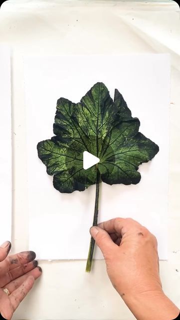 Impressions of Nature on Instagram: "This leaf print actually made me gasp! 💚🍃💚  I am always so in awe of the amazing world around me and this process takes that to a whole new level for me!   So much detail I think they look like a kind of x-ray and I’m loving the folds again ✨  If you would like to try this at home, there is a list of materials on the website links in bio or you can visit  https://www.impressionsofnature.co.uk/materials  Mallow (Malva sylvestris), (Malvaceae family)  is often seen as a symbol of resilience and tenacity because of its ability to grow in a variety of conditions and its robust nature.  Its flowers can symbolise being “consumed by love,” indicating a deep and passionate affection for someone.  the word “malache” referred to a healing plant in ancient Gree Common Mallow, Gelli Printing Techniques, Monoprint Art, Malva Sylvestris, Leaf Art Diy, Leaf Print Art, Contemporary Botanical Art, Mallow Flower, Coffee Substitute