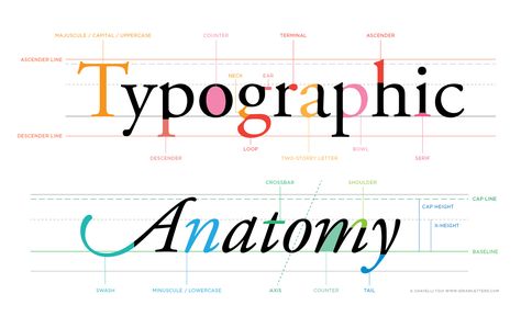 The Anatomy of Letterforms | www.idrawletters.com Font Anatomy, Letter Anatomy, Lettering Layout, Anatomy Of Typography, Best Calligraphy Fonts, Type Anatomy, Designer Essentials, Bubble Letter Fonts, Font Bubble