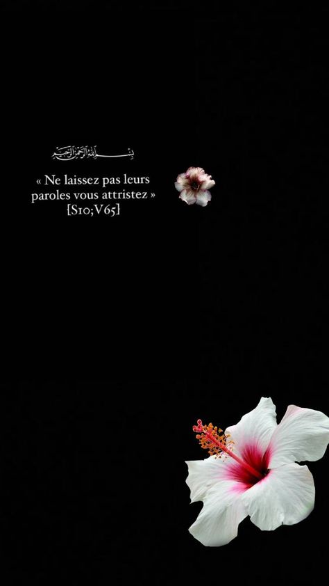 fond d'écran citation Islam Bff Girls, Islam Hadith, Ayat Al-quran, Muslim Quotes, Islamic Quotes, Flowers, White