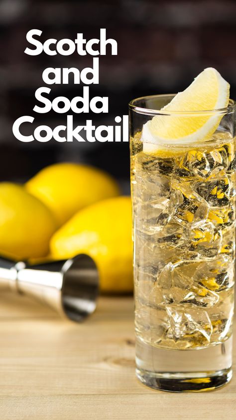 Scotch and Soda Cocktail Lemon Cocktails, Upscale Lounge, Whiskey Soda, Cocktail Recipes Whiskey, Lemon Cocktail, Easy Cocktail, Soda Recipe, Delicious Drink Recipes, Scotch And Soda