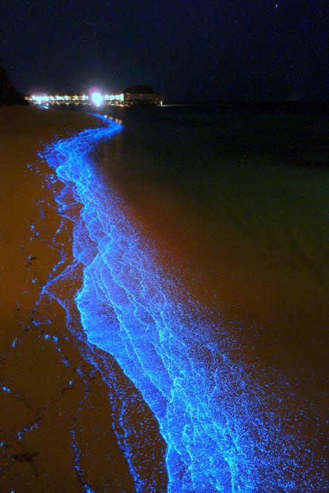 Maldives‎ blue sand Glowing River, Ocean Of Stars, Maldives Beach, Sea Of Stars, Maldives Island, Tapeta Galaxie, Foto Tips, Bhutan, Alam Yang Indah