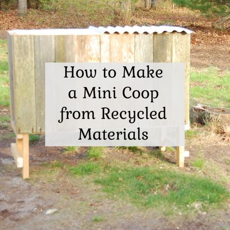 How to make a mini chicken coop with recycled materials Brooder Box, Picket Fence Panels, Vinyl Shutters, Raising Chicks, Peel And Stick Floor, Diy Chicken Coop Plans, Coop Plans, Wood Building, Chicken Coop Plans