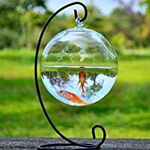 Hanging Fish Bowl, Fish Bowl Decorations, Desk Hanging, Vase Fish Tank, Hanging Glass Vase, Glass Fish Tanks, Glass Fish Bowl, Mini Aquarium, Fish Vase