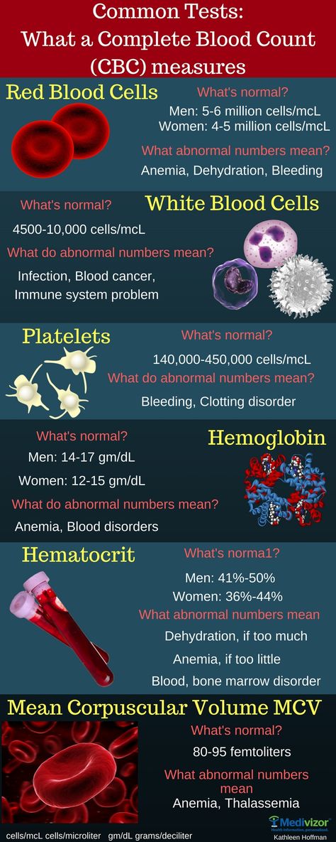 Complete Blood Count (CBC) Medical Laboratory Science Student, Nursing Labs, Medical Assistant Student, Lab Values, Medical Student Study, Medical Laboratory Science, Nursing School Survival, Medical Facts, Nursing School Tips