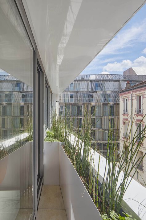 Gallery of Living on the Roof / rotunnojustman - 17 Narrow Balcony, Roof Balcony, Paris Balcony, Yard Remodel, Balcony Planters, Green Facade, Rooftop Terrace Design, European Home, Planter Design