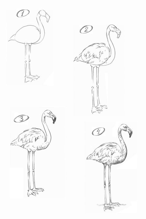 How to draw a flamingo. Step-by-step drawing tutorial. Flamingo Drawing Step By Step, Drawing A Flamingo, How To Draw A Flamingo Step By Step, How To Draw A Flamingo, Flamingo Drawing Simple, Wire Flamingo, Easy Tutorial Drawing, Chinoiserie Drawing, How To Make Sketch