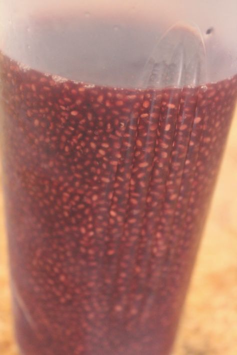 On the Blog Now: Home Made 'Mamma Chia' drink! Mamma Chia Copycat, Mama Chia Squeeze Recipe, Chia Drink Recipes, Chia Drink, Mamma Chia, Chia Seed Drinks, Chia Recipe, Find A Way, Chia Seeds