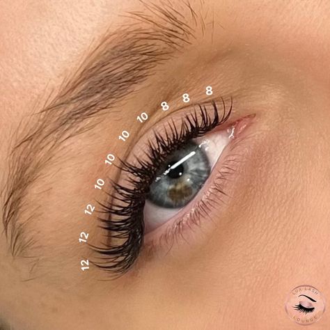 ‼️Lash Technicians‼️ Here’s something for you to try⬇️ Wispy Cat Eye Lash Map👀⭐️ 8-12mm, Classic C-Curl❤️‍🔥 This is a gradual sharp cat eye because it’s going from 8mm to 12mm🔪 We love this set and it’s an easy lash map to follow🥰👀 📍Classic Lash Extensions in Brooklyn, NY 📲718-801-2523 📍Classic Lash Extensions in Long Island, NY 📲516-907-2200 💻www.luxlashlounge.com #lashmap #cateyelashextensions #cateyelashmap #lashmappingskills #lashmappingtips #lashextensions #nyclashtech #brooklynl... Kiss Lash Extensions Map, 8-12 Mm Lashes, Cat Eye Cluster Lashes, Lash Maps Wispy, 10 Mm Lash Extensions, Cat Eye Eyelash Extensions Map, Cat Eye Classic Lash Extensions Map, 2d Lash Extensions Cat Eye, Classic Lashes Extensions Mapping