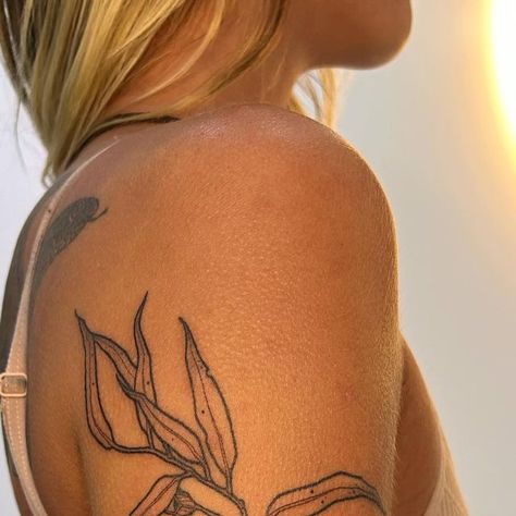 Gum Leaf Tattoo, 13 Hours, Tattoo Inspo, Leaf Tattoos, Traditional Tattoo, All Time, Gum, All About Time, Jade