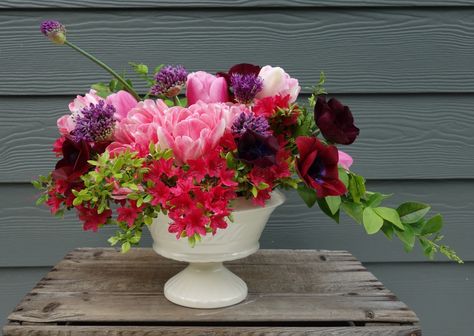 Azalea Arrangement, Types Of Tulips, Slow Flower, Longfield Gardens, Azalea Flower, Spring Arrangements, Pink Azaleas, Ikebana Arrangements, Rose Of Sharon