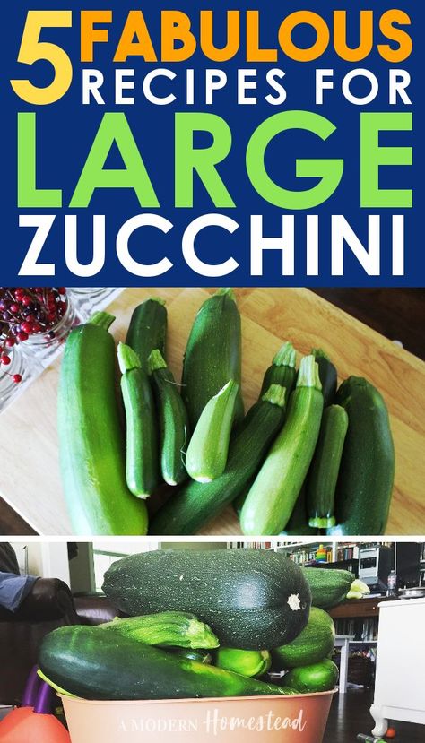 If you're wondering what to do with all your oversized zucchini, this is the post for you! With 5 unique and delicious recipes for large zucchini, you'll be covered for all your huge zucchini from the garden this year! #Recipes #FromScratchRecipes #Gardening Recipes To Use Garden Veggies, Garden Zucchini Recipes, Large Squash Recipes, What To Do With Huge Zucchini, Huge Zucchini Recipes, What To Do With Zucchini From Garden, Canned Zucchini Recipes, Large Zucchini What To Do With, What To Do With Zucchini