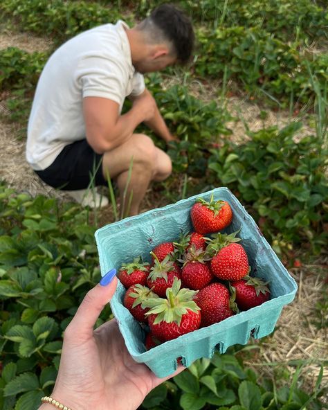 Garden Date, Farm Date, Soft Launch, Strawberry Farm, Fruit Picking, Strawberry Picking, Cute Couples Cuddling, Cute Muslim Couples, My Kind Of Love