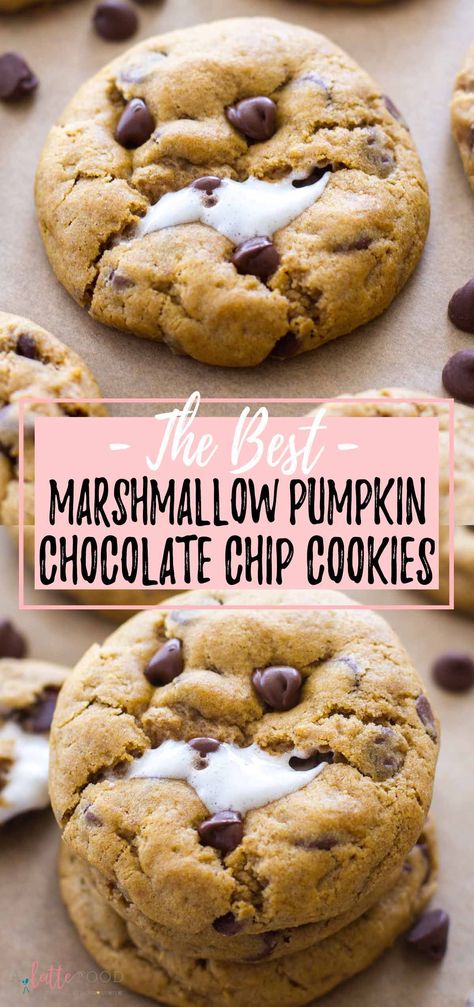 Pumpkin Marshmellow Recipes, Pumpkin Marshmallow Dessert, Pumpkin And Marshmallow Recipes, Pumpkin Marshmallow Recipes, Pumpkin And White Chocolate Chip Cookies, Pumpkin Smore Cookies, Pumpkin S’mores Cookies, Chocolate Chip Cookies With Marshmallows, Pumpkin Marshmallow Cookies