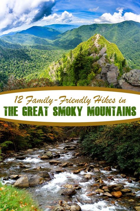 Best Family-Friendly Hikes in the Smoky Mountains Hiking Tennessee, Tennessee Gatlinburg, Midwest Vacations, Smokey Mountains Vacation, Smoky Mountains Tennessee, Smoky Mountains Vacation, Hiking Trips, Tennessee Travel, Tennessee Vacation