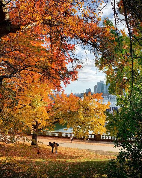 Rebecca Bollwitt’s Instagram photo: “It was the perfect day for a fall photo shoot with bébé 🍂🍁 #Autumn #StanleyPark #Vancouver #Family #VeryVancouver @inside_vancouver…” Autumn In Vancouver, Vancouver Fall Aesthetic, Perfect Autumn Day, Fall In Vancouver Bc, Vancouver Autumn, Romanticising Autumn, Fall Vancouver, Montreal Fall, Vancouver Aesthetic