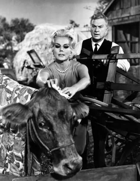 Green Acres Tv Show, Classic Tv Shows, Don Ameche, Eva Gabor, Vintage Actresses, Life Of Luxury, Tv Vintage, Zsa Zsa, City Slickers