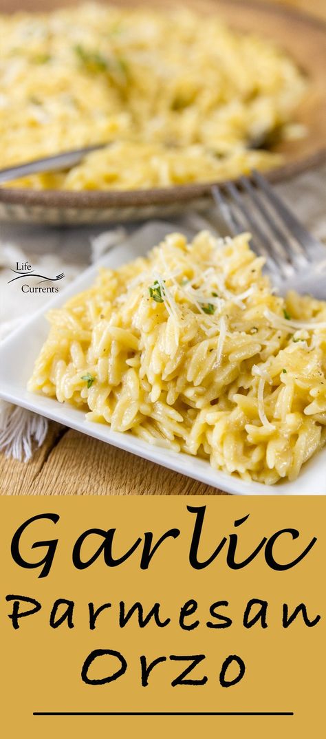 Garlic Parmesan Pasta is so good. Creamy and delicious. Easy to make #parmesan #pasta #garlic #comfortfood Garlic Parmesan Orzo, Pasta Garlic, Parmesan Orzo, Garlic Parmesan Pasta, Sauce Béchamel, Homemade Coleslaw, Orzo Recipes, Parmesan Pasta, Garlic Oil