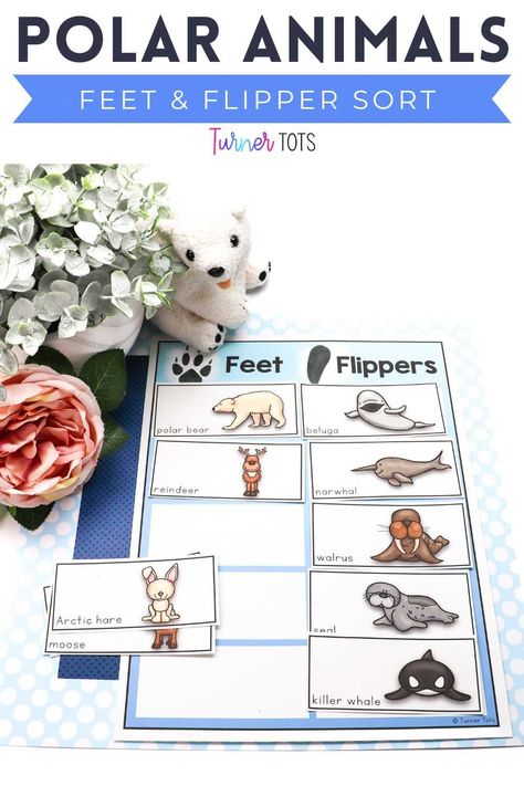 Dive into the fascinating world of polar animals with this "Feet vs. Flipper Sort" activity! This hands-on experience is perfect for preschoolers to explore the unique adaptations of Arctic creatures. Let their curiosity soar as they discover how different animals like penguins, seals, and polar bears have evolved to navigate their icy habitats. Come join the fun and embark on a journey through the frozen wilderness. Download this Arctic animal adaptation activity today! Artic Animal Toddler Activities, Prek Arctic Animals, Arctic Animals Science Experiment, Artic Animals Toddler Lesson Plans, Seal Activities For Preschool, Artic Animal Lessons For Preschool, Seal Activities For Kids, Artic Animals Fine Motor Activities, Arctic Animal Activities For Toddlers