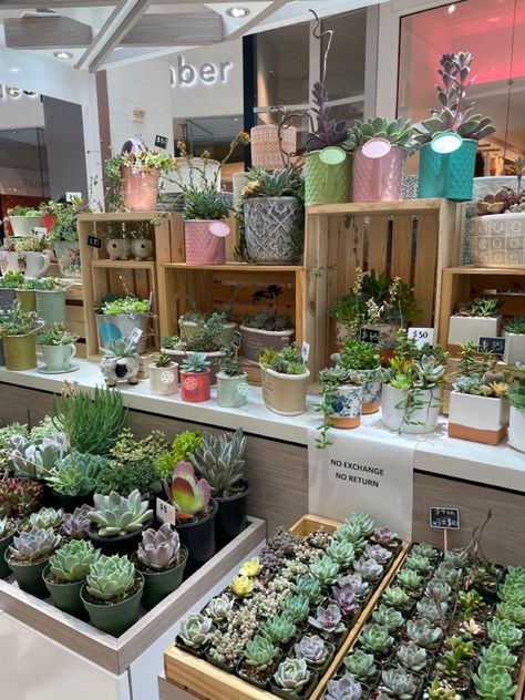 Plant Booth Craft Fairs, Plant Sale Display Craft Fairs, Succulent Shop Display, Plant Market Display, Plant Shop Pop Up, Farmers Market Plant Stand, Plant Vendor Booth, Plant Market Stall Ideas, Retail Plant Display Ideas