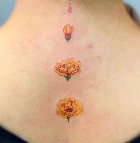 The Meanings Of Carnation Tattoos (Explained In Detail) Yellow Carnation Tattoo, Tiny Carnation Tattoo, Cute Carnation Tattoo, Carnation And Marigold Tattoo, Carnation Dainty Tattoo, Small Tattoos Carnation, Red Carnation Tattoo, Carnation Symbolism, Morning Glory Tattoo