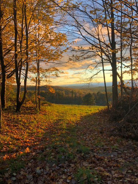 Backroads Aesthetic, Wald Wallpaper, Fall Meadow, Autumn Countryside, Herbst Bucket List, Autumn Sky, Fall Landscape, Pretty Landscapes, Early Autumn