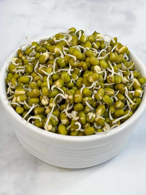 Easy, wholesome, and fresh, sprouted moong (mung) salad made from sprouts, fresh vegetables, herbs and, seasonings. Vegan, gluten-free, and oil-free. Sprouts Salad Indian, Moong Recipe, Salad Indian, Moong Sprouts, Quick Protein, Masala Tea, Indian Diet, Worksheets Kindergarten, Sprouts Salad