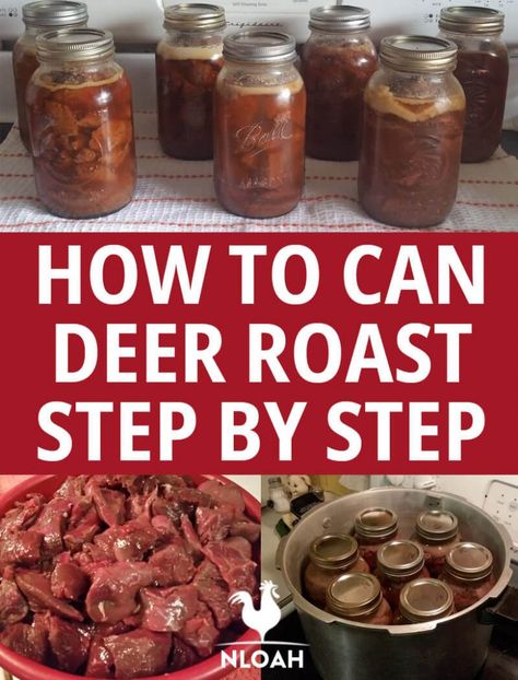 How To Can Venison, How To Can Deer Meat, Can Deer Meat Recipes, Canning Deer Meat Recipes, Canning Venison Pressure, Processing Deer Meat, Canned Deer Meat Recipes, Canning Venison Recipes, Pressure Canning Venison