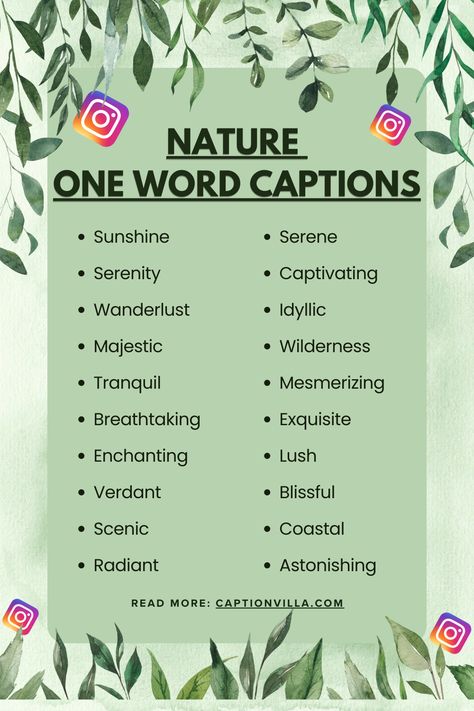 Nature One Word Captions for Instagram Nature Captions Instagram Beautiful, Caption For Nature Beauty, One Word Captions For Instagram, Nature Captions Instagram, Word Captions For Instagram, Word Captions, Captions For Instagram 2023, One Word Captions, Nature Captions For Instagram